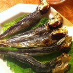 かじしか - カタクチ鰯♪日本酒にぴったり！