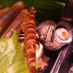 かじしか - ネタケース内、サザエ・車エビ・まて貝。全部活きとる(^^)