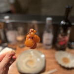 オオクサ - ちょうちん