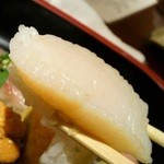 Shokusei Seizushi - 