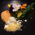 プレゼンテ スギ - スギ畑 サラダ パチパチ弾ける