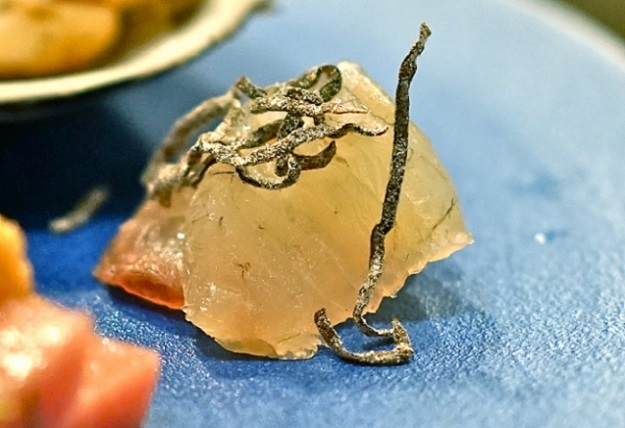 炉端焼このじ 麻布十番 居酒屋 食べログ