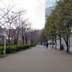 ラーメン二郎 - 桜並木もまだ寒そう