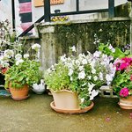 マクロビオティックのレストラン　クグロフ - お店の入り口付近です⑥