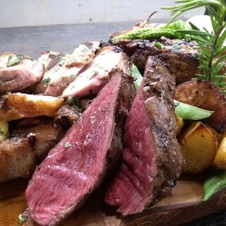 タンタ ローバ_1