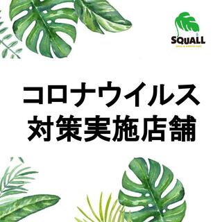 SQUALL - 