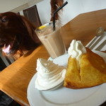 Cafe Sogno with dog - ベイクドシフォンケーキとソフトクリームセット