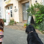 Cafe Sogno with dog - 