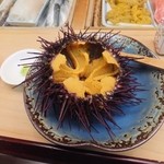 すし処 かね田 - 大間がぜウニ