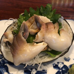 季節料理みながわ - ほっきの刺身