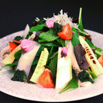 Seasonal salad M size