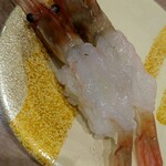 氷見きときと寿し - 