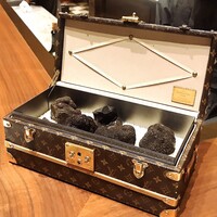 スガラボヴィー - 