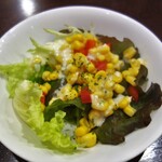 テルチャン - 彩/いろどりサラダ