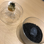 サンプリシテ - 