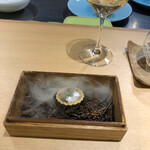 サンプリシテ - 