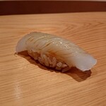 鮨 さかい - アオリイカ
