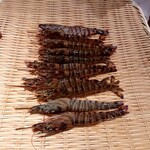 鮨 さかい - 車海老