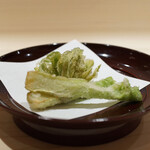 新ばし 星野 - たらの芽と蕗の薹