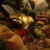 雑魚マニア - 料理写真:刺身はうまい