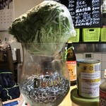 がばちょ - いつも上にデカイナニカが乗ってるねんｗｗｗ