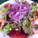 カニと海老のサラダ（１人前） \1,100