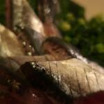 酒菜坊 橋蔵 - 新さんま刺　ズームアップ