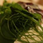 酒菜坊 橋蔵 - 新さんま刺　ズームアップ