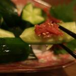 酒菜坊 橋蔵 - 梅キュウ喰らう