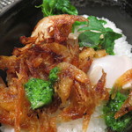 レストラン バカール - 由比桜海老とハマグリ、菜の花バターの鉄鍋炊き上げご飯