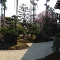 旅亭 十三屋 - お庭がすごく綺麗です。庭石の上に狸が居ますので探してみてくださいね