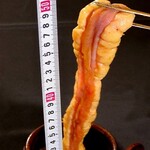 Yakiniku (Grilled meat) entertainment! ! Jar pickled hormone 50cm