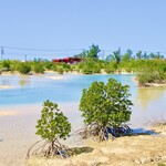 島おでん たから - 