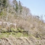 そば処 平石亭 - お店の入り口前の景色です③