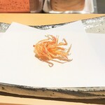 にい留 - 車海老の足