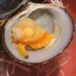 ろっかん - おきしじみ