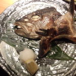 梅月 - カンパチカマ焼き