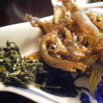 土家 - 24年4月　前菜盛合せ　木の芽と小女子の佃煮