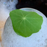 イル ギオットーネ - 