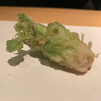 カブ 西麻布 - たらの芽