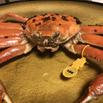 民宿 なかじま - 