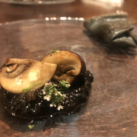 セルサルサーレ - 