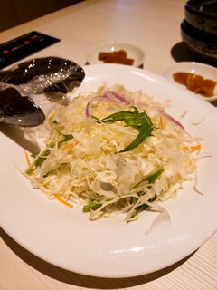 Sumibiyakiniku Seikouen - サラダ