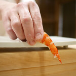 東麻布 天本 - 車海老