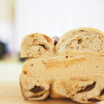 TANUKI APPETIZING - アップルシナモン