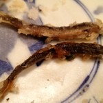 暮六つ居酒屋 - 鰈の口から出てきたドジョウ 暮六つ