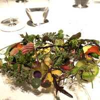 レフェルヴェソンス - 