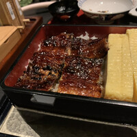 炭焼きうなぎ・かしわ 登河 - 黄金鰻重