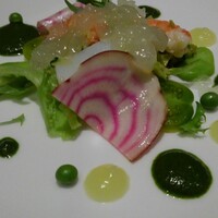 カントニーズ 燕 - 