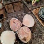 ヤマト - 大アサリ